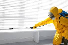 Best Emergency Pest Control  in Clarkdale, AZ